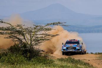 M-Sport World Rally Team. Safari Rally Kenya 2023